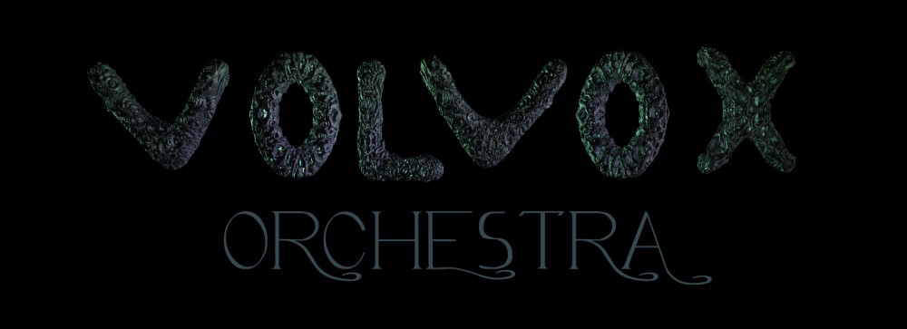 VOLVOX  orchestra